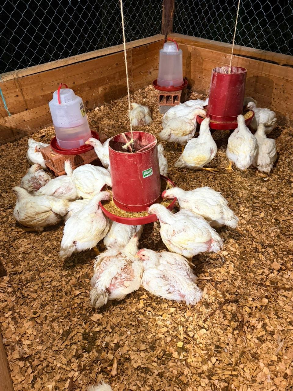 bc3f38c6-7f82-4b51-99de-3459d7e9d7b4