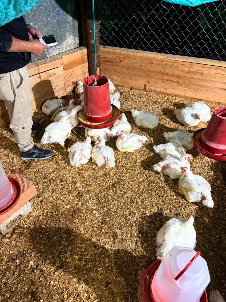 eedba415-998a-4f93-9825-d11855e9c543